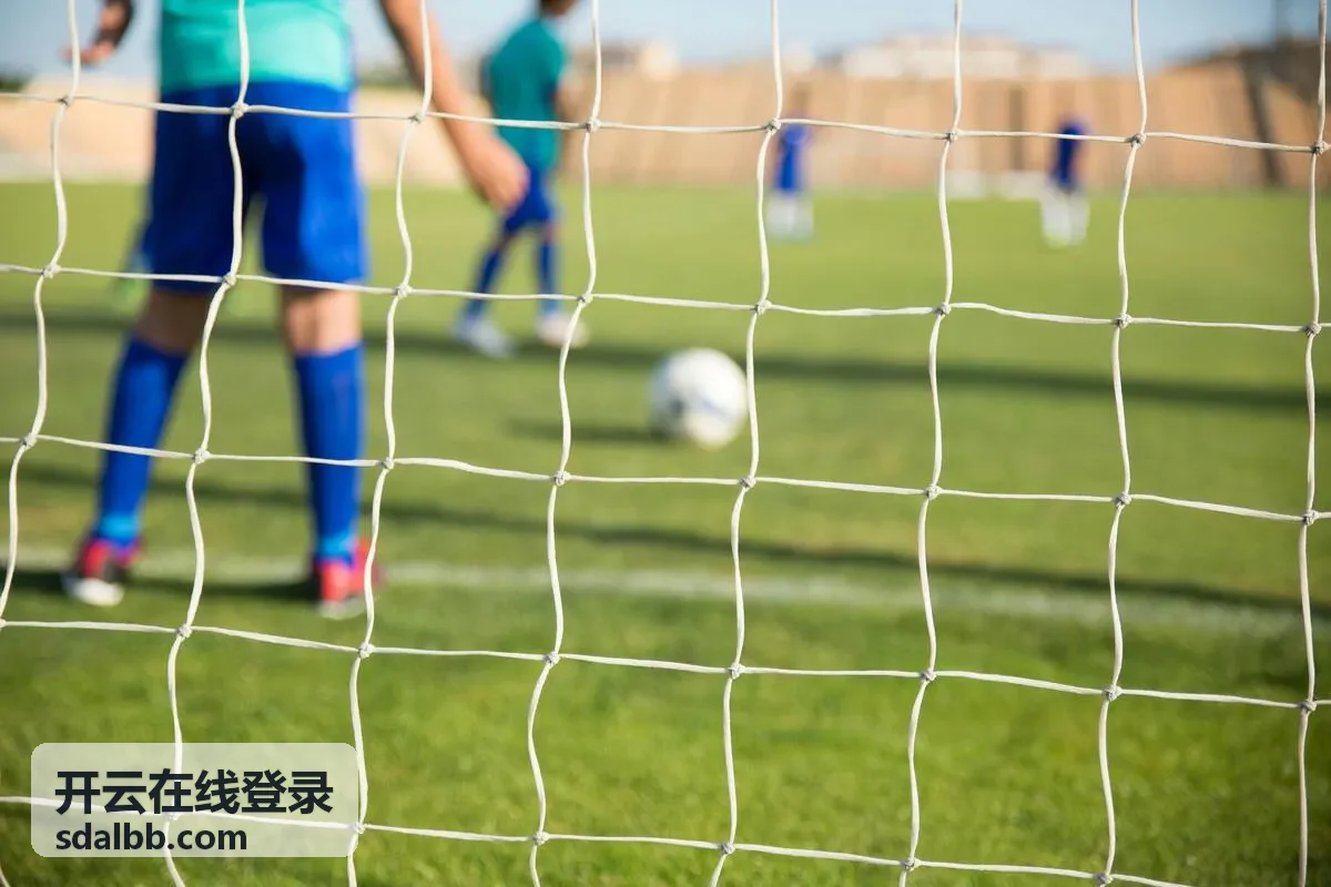 开云在线登录企业接入与权限的岗位角色批量下发界面